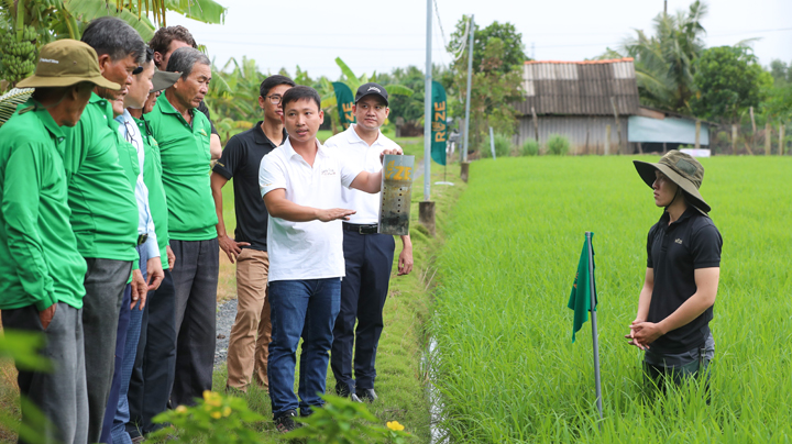 “EkoClimate” Initiative to Support Sustainable Rice Farming